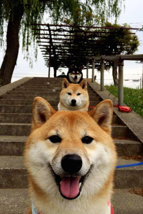 狂轰40+15!莫兰特率猛龙末节逆转,恩比德空砍34分徒呼奈何