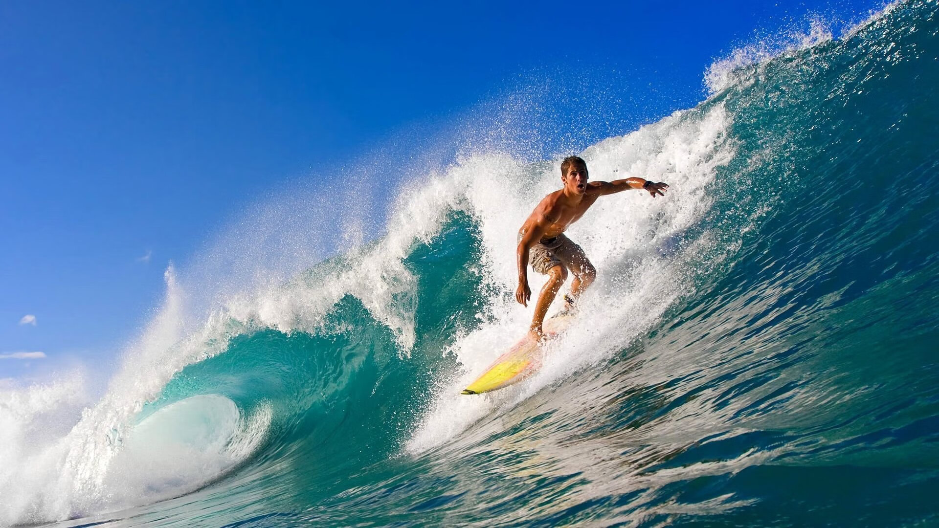 高速世界的焦点瞬间，当F1的缠斗遇见NBA的碾压—速度与压迫的艺术